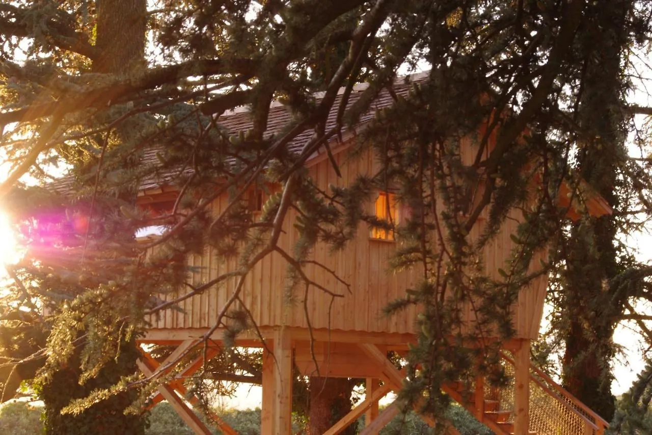 Domaine Des Grands Cedres - Maison D'Hotes Guest House Cordelle